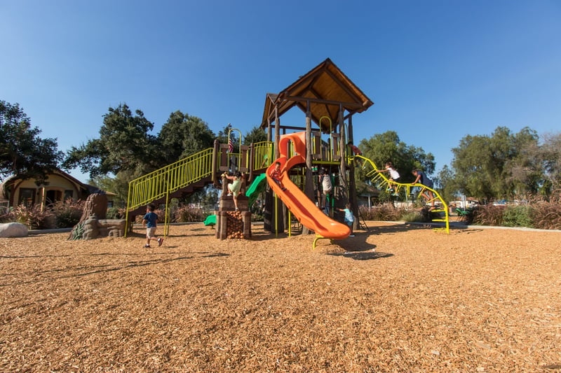 Grape Day Park preview 15
